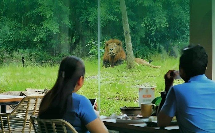 Solo Safari, satu tempat wisata kids friendly di Solo untuk liburan akhir tahun.