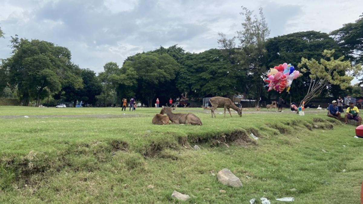 Taman Sriwedari, satu tempat wisata kids friendly di Solo untuk liburan akhir tahun.