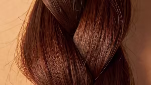 Why braids never disappeared