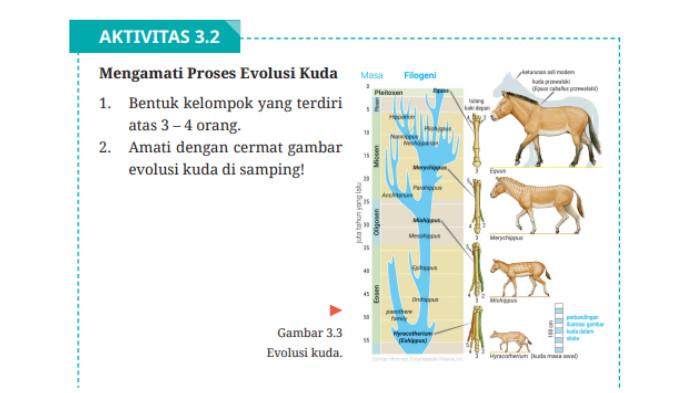 soal biologi kelas 12 halaman 133 2