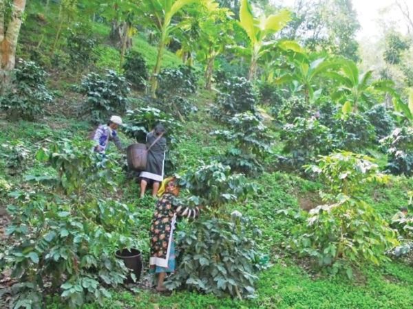 สดจากเยาวชน