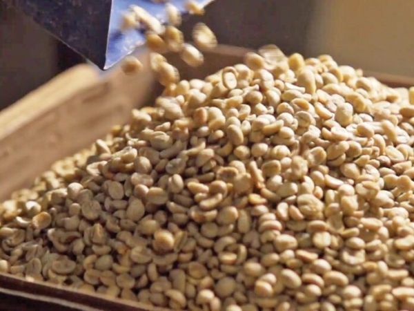 สดจากเยาวชน