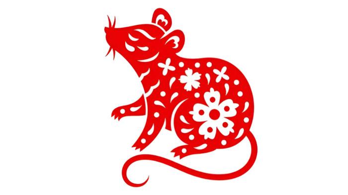 SHIO TIKUS- Ilustrasi ramalan Shio Tikus 2025 yang menyebutkan bahwa shio ini tampaknya diberikan kelancaran finansial dan usaha.