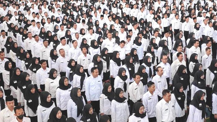 Pelantikan PPPK di GOR Gajah Putih, Jalan Brigjen Soetran, Kecamatan/Kabupaten Trenggalek.