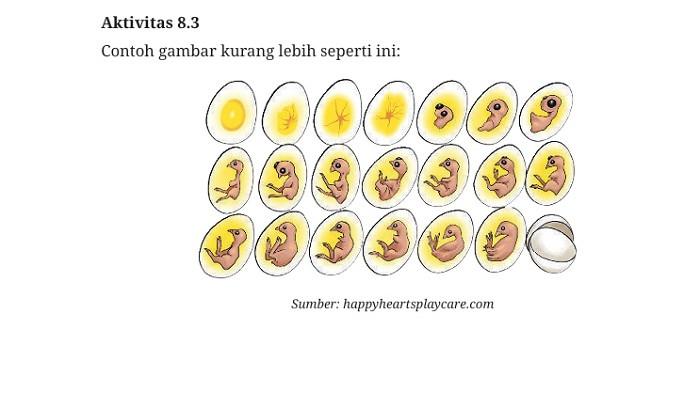 kunci jawaban biologi aktivitas 8.3