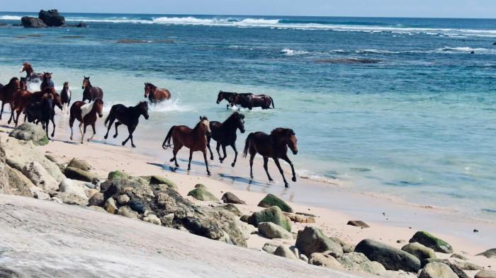 Nihi Sumba Island (sumber: unplash.com/deepavaligaind)