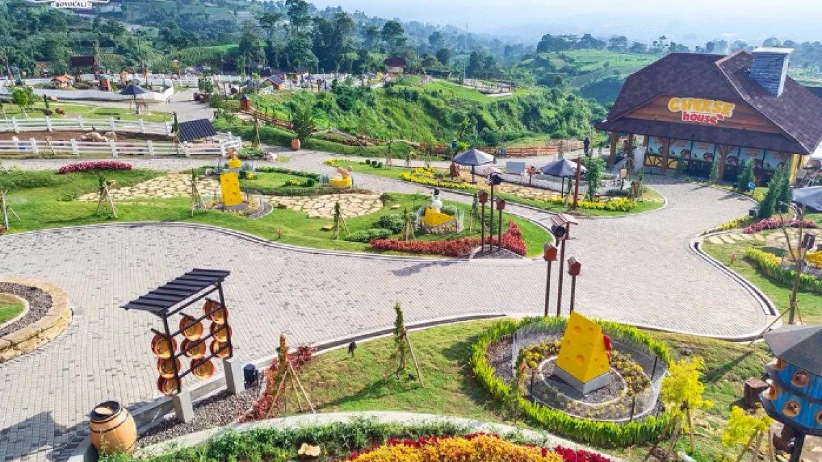 OBJEK WISATA BOYOLALI - Potret Cepogo Cheese Park diambil dari Instagram pada Selasa (11/3/2025). Cepogo Cheese Park berlokasi di Boyolali, Jawa Tengah.