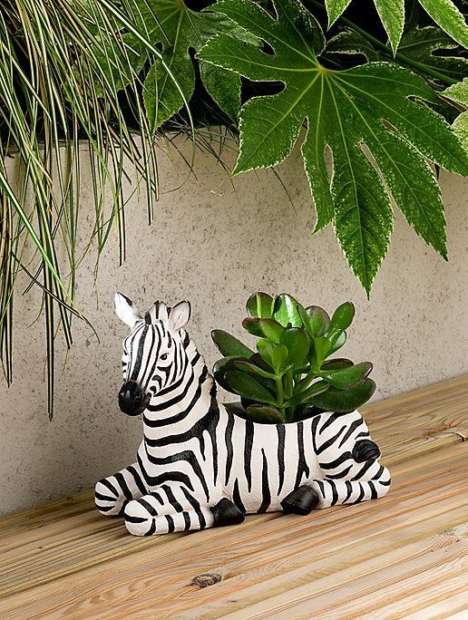This may contain: a zebra planter sitting on top of a wooden table next to a potted plant