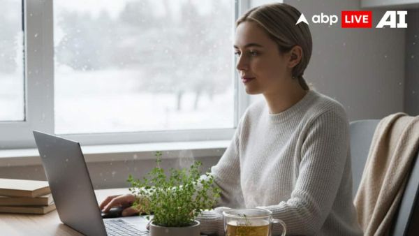 (Image Source: ABPLIVE AI)
