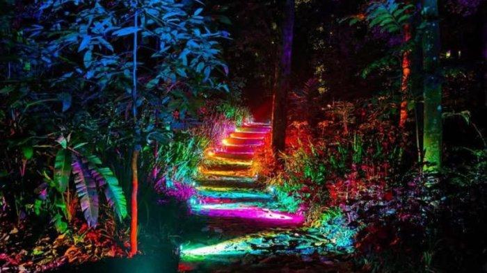 Hutan Menyala Tahura