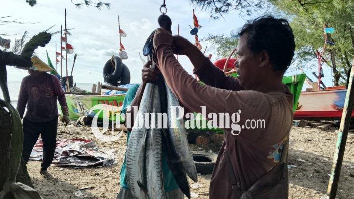 NELAYAN- Dua orang nelayan sedang menimbang ikan hasil tangkapan di Pasia Muaro Kampung KB, Kelurahan Parupuk Tabing, Kecamatan Koto Tangah, Kota Padang, Sumatera Barat, Senin (29/12/2025).