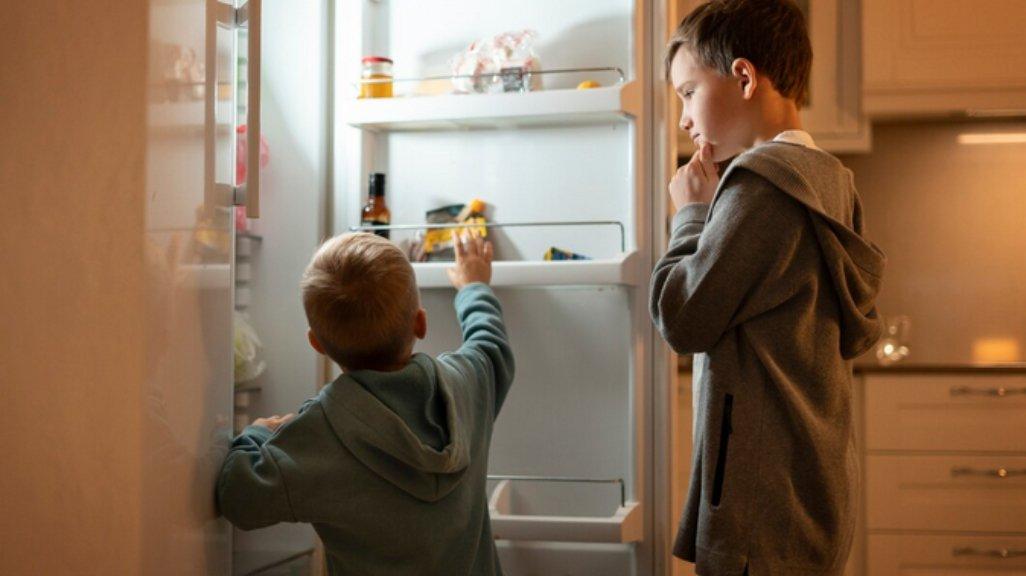 Ilustrasi penggunaan kulkas.