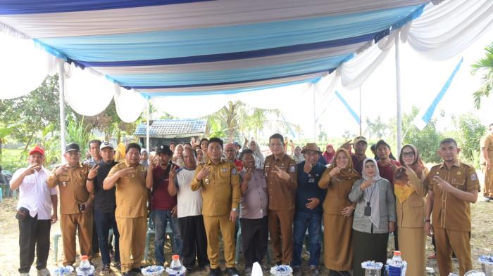 Wakil Bupati : Deli Serdang