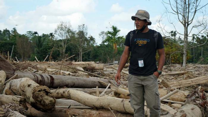 TUMPUKAN KAYU YANG  MENGGUNUNG ACEH UTARA 2
