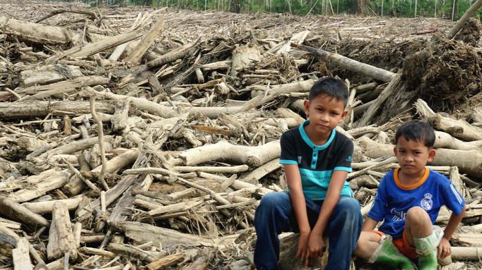 TUMPUKAN KAYU ACEH UTARA SETELAH BANJIR