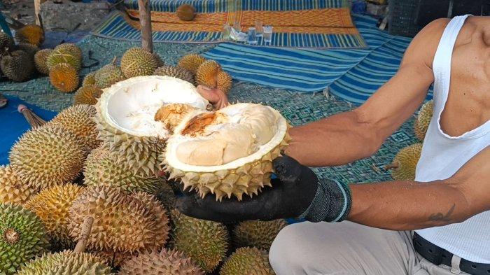 Pedagang durian di kawasan Tugu Juang, Kota Jambi, sedang memilih barang dagangan untuk pembeli, Selasa (21/1/2025)