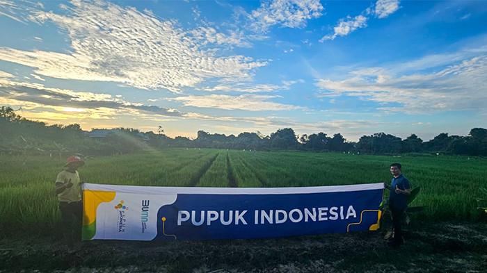 Pupuk Indonesia demplot