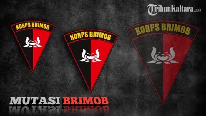 MUTASI POLRI - Ilustrasi mutasi Brimob Polri. Berikut update mutasi Polri terbaru, dimana eks Wadansat Brimob Polda Kaltara yakni AKBP Hendri Wira Suriyana, promosi pangkat Kombes di Polda Maluku Utara. (Kolase TribunKaltara.com/Instagram Brimob Polda Kaltara @brimob_kaltara dan Donieber-Magang)
