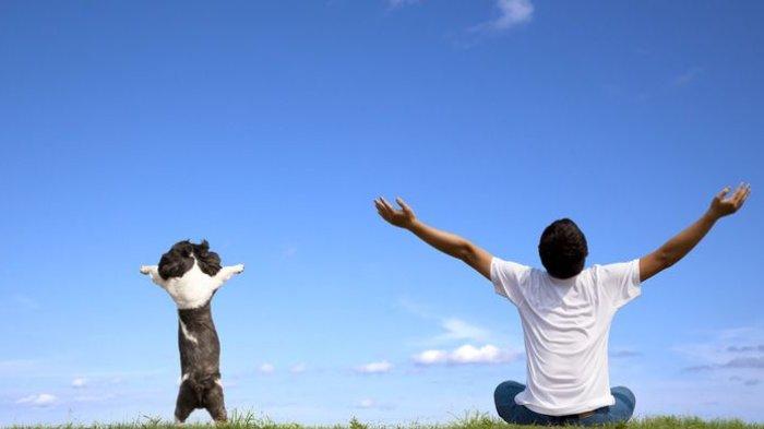 ilustrasi - pikiran dan tubuh yang segar