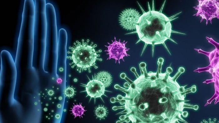 Ilustrasi imunomodulator untuk meningkatkan sistem imun