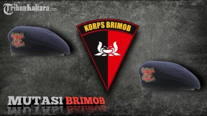 MUTASI POLRI - Ilustrasi mutasi Polri di Korps Brimob. Dalam artikel ini TribunKaltara.com sajikan daftar nama Jenderal, Kombes, hingga AKBP yang tergeser usai nama mereka masuk mutasi Polri terbaru.