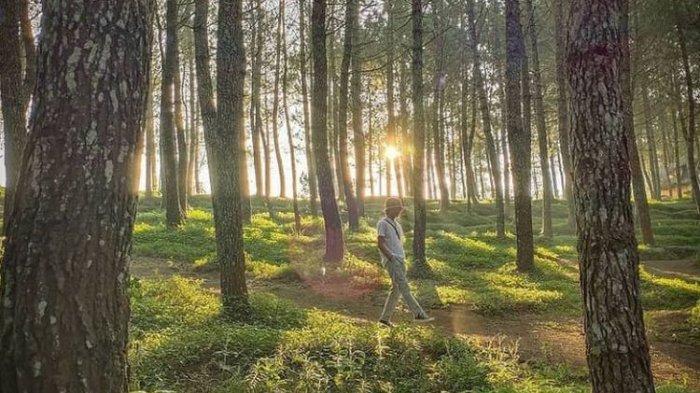 Kamojang Ecopark di Garut, Jawa Barat (Instagram @kamojangecopark)