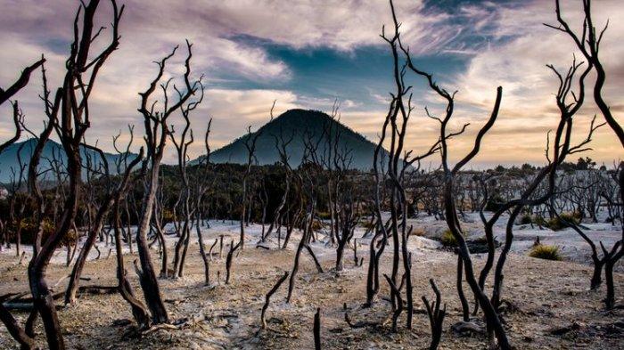 Hutan Mati kawasan Gunung Papandayan, Garut, Jawa Barat. Salah satu tempat wisata di Garut yang dapat dikunjungi.( agunpriyatna/Shutterstock)