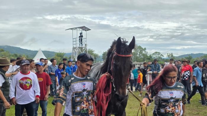 PACUAN KUDA - Gubernur Sulawesi Utara Yulius Selvanus Komaling (YSK) membuka secara resmi Lomba Pacuan Kuda New Year Cup 2026. Lomba digelar di Gelanggang Pacuan Kuda Desa Pinaesaan, Kecamatan Tompaso Barat, Kabupaten Minahasa, Sulawesi Utara, Sabtu (3/1/2026).