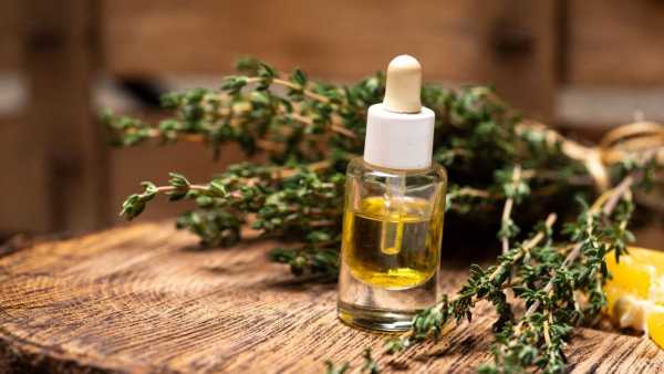 Rosemary For Hair Growth