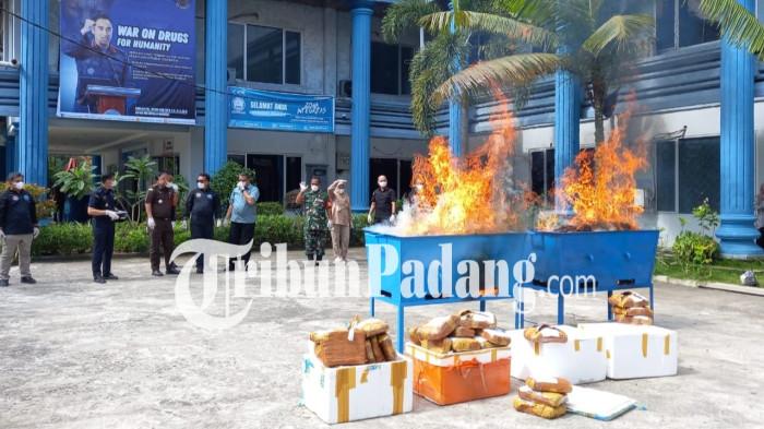 PEMUSNAHAN BARANG BUKTI- BNN Sumatera Barat memusnahkan 99,5 kilogram ganja dengan cara dibakar, Selasa (6/1/2026).