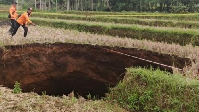 SINKHOLE- Fenomena alam berupa lubang misterius atau sinkhole atau lubang runtuhan tanah muncul di area persawahan milik warga di Jorong Tepi, Nagari Situjuh Batuah, Kabupaten Lima Puluh Kota, Sumatera Barat (Sumbar).