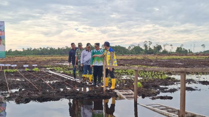 Irigasi di Cetak Sawah Tarakan 08012026.jpg