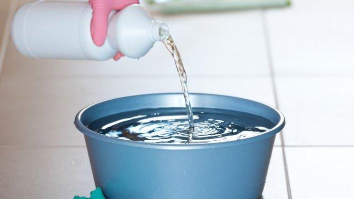 Ilustrasi pemutih untuk bantu hilangkan lumut pada selang.