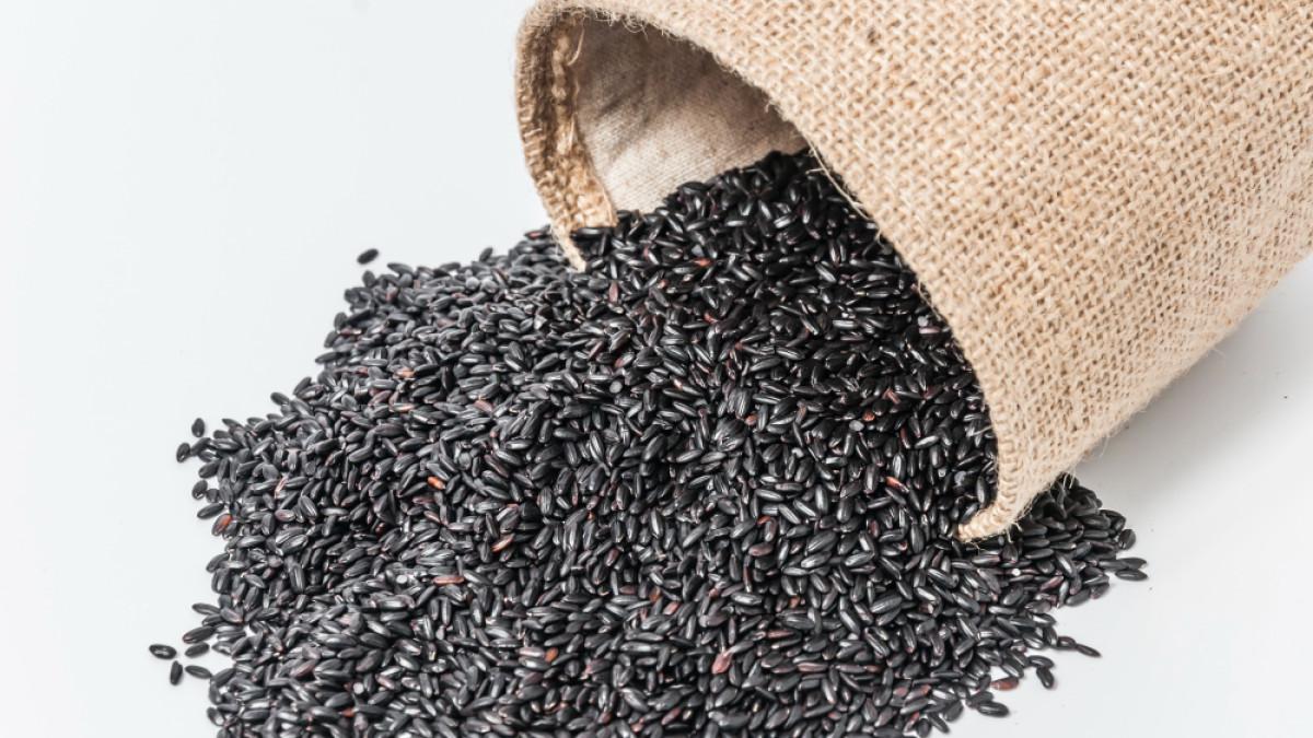 Ilustrasi wijen hitam