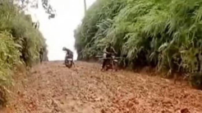 Penampakan kondisi jalan desa di Merangin, Jambi bak kubangan kerbau.