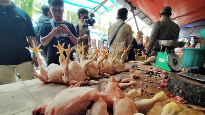 Ayam potong lokal di Tarakan 12012026.jpg