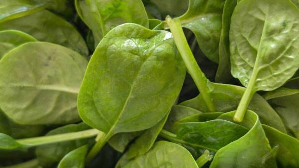 (Image Source: Canva)