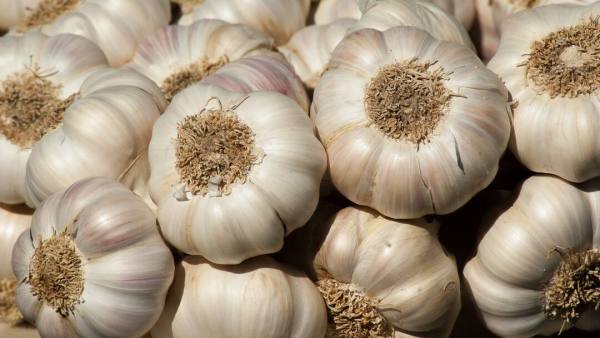 (Image Source: Canva)