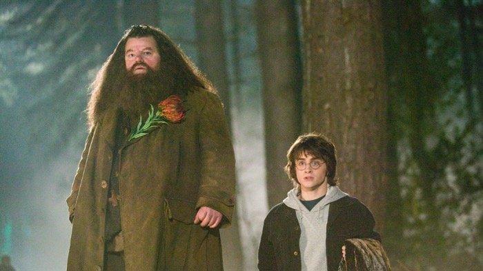 Penampakan aktor Robbie Coltrane sebagai Rubeus Hagrid di Harry Potter