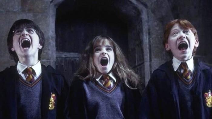 Harry dan Teman-teman