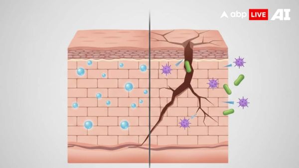 (Image Source: ABPLIVE AI)