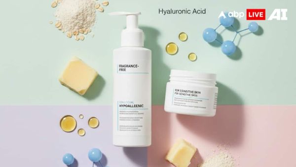 (Image Source: ABPLIVE AI)