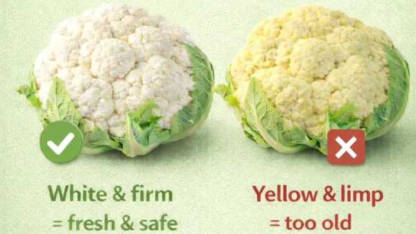 Tips To Buy Fresh Cauliflower