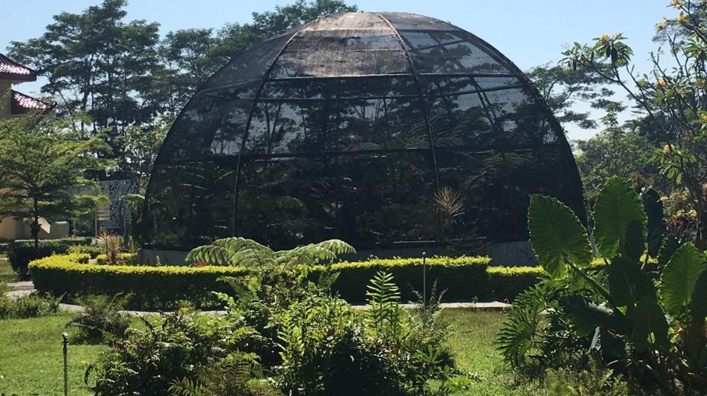 KEBUN RAYA INDROKILO - Salah satu sudut Kebun Raya Indrokilo Boyolali (KRIB) di Kabupaten Boyolali, Jawa Tengah. Kebun Raya Indrokilo bakal menjadi lokasi puncak peringatan Hari Desa Nasional 2026.