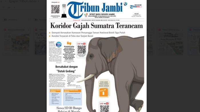 Tribun Jambi edisi Selasa 13 Januari 2026 tentang kerusakan koridor gajah di TNBT