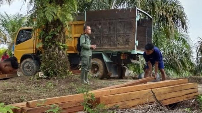 Petugas Balai TNBT berpatroli pengamanan hutan bersama Masyakat Mitra Polhut (MMP) mengamankan penebangan pohon di kawasan. (Instagram btn_bukittigapuluh)