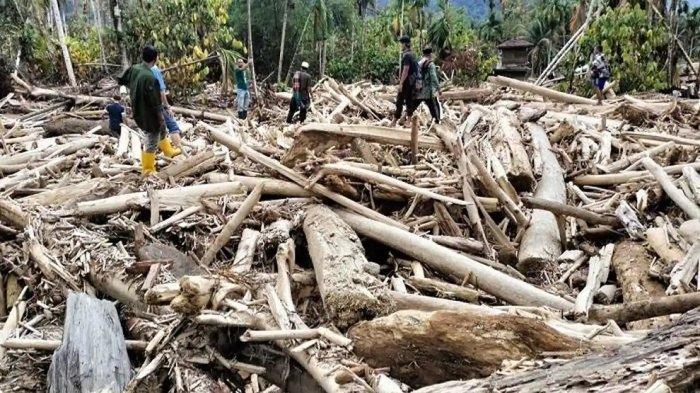 Kondisi Desa Umah Tareng, Kecamatan Serbajadi, tumpukan kayu yang dibawa banjir bandang merusak permukiman warga, hingga saat ini masyarakat masih menunggu Huntara, Jum'at (2/1/2026).