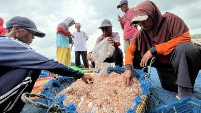 UDANG REBON - Nelayan memilah udang rebon di Pantai Timur Pangandaran, Kamis (10/7/2025)