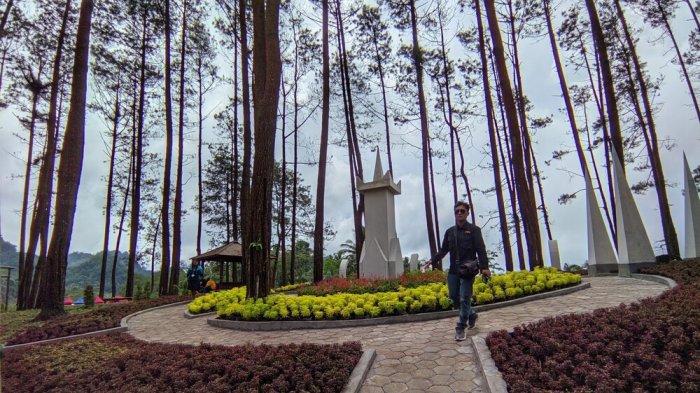 Suasana kafe Menoreh Dreamland dengan pemandangan hutan pinus. Destinasi ini berada di perbatasan Kulon Progo dan Purworejo, Jawa Tengah.