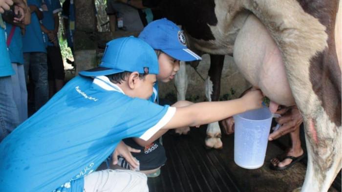 Desa Ketahanan Pangan dan Pendidikan Dukuh